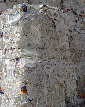 Cup stock paper Scrap
