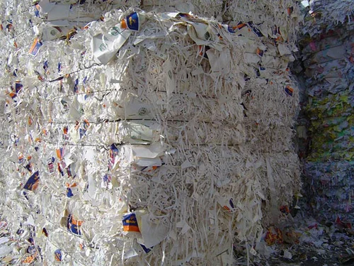 Cup stock paper Scrap